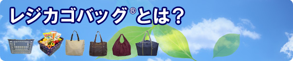 【レジカゴバッグとは】 - レジで袋詰めが不要!楽しくエコが実践できる便利で丈夫なエコバッグです レジカゴバッグイメージ